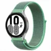spearmint 31